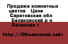 Продажа комнатных цветов › Цена ­ 150 - Саратовская обл., Балаковский р-н, Балаково г.  »    